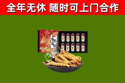 中牟烟酒回收冬虫夏草礼盒.jpg